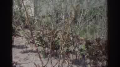 Norfolk Virginia (1966): A Place Of Learning For Students With An Interest In