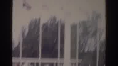 Norfolk Virginia (1966): Multi Country Flags Above The Unique Statues
