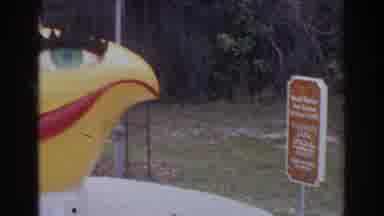 Norfolk Virginia (1966): Exotic Creative Nature Walk In The Orchid Jungle Gardens