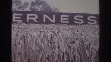 Norfolk Virginia (1966): Signpost Images Of Some Environment
