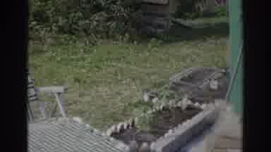 Norfolk Virginia (1966): Old Woman Sweeping Backyard Next To Her Garden