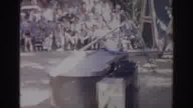 Norfolk Virginia (1966): Two Parrots Involved In Race Or A Conversation While A