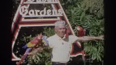 Norfolk Virginia (1966): A Flock Of Pink Flamingos And Men Standing In Front Of