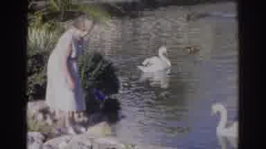 Norfolk Virginia (1966): Park A Lady Feeding Duck And Barn On A Lake