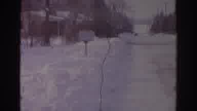 Norfolk Virginia (1966): An Old Film Showing A Covered Avenue Of Snow And Trees