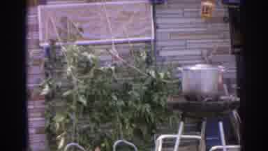Norfolk Virginia (1966): Outdoor Patio Area With Plants And Bushes