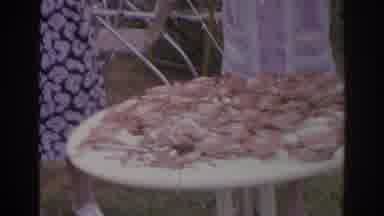 Norfolk Virginia (1966): Women Places A Pair Of Crabs On A Table Covered In Crabs