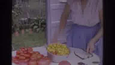 Norfolk Virginia (1966): Flower Garden And Older Lady Cleaning Table With Fresh