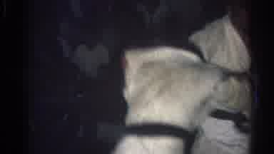 San Gabriel California (1966): Two Black Belt Martial Artists Grapple For Crowd At