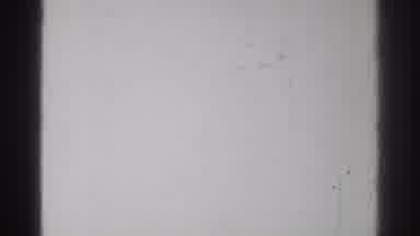 San Gabriel California (1966): Two Martial Arts Guys Competing Each Other