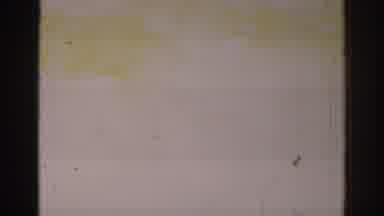 Temple City California (1966): Overexposed Old Footage Of Trees And Buildings With