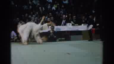 West Covina California (1966): Fight Video Showing A Dispute Between Two Opponents