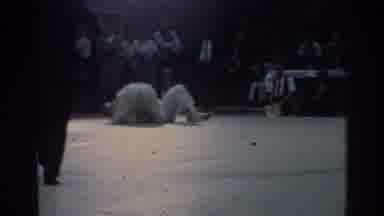 Los Angeles California (1967): The Judo Arena And Competition