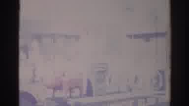 Los Angeles California (1967): Black Truck Pulls Parade Float With Red Cow On A