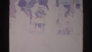 Los Angeles California (1967): Historic Video Of Young Kids Dancing In