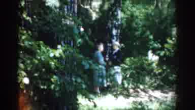 Moscow Russia (1968): Woman Wearing Blue Dress Stands Under Green Shade Tree On A