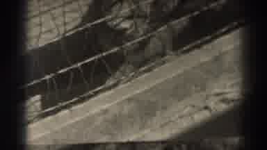El Monte California (1937): Bunny Sitting In A Homemade Cage Outside