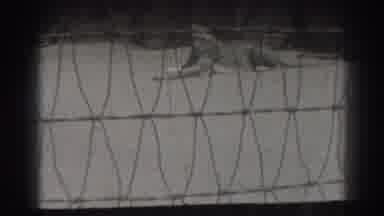 El Monte California (1937): The Lion Needs Rest In His Cage