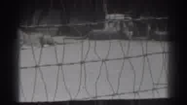 El Monte California (1937): Lion In Zoo Behind Fence