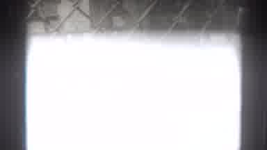 El Monte California (1937): Black And White Footage Of Lionesses Walking In An