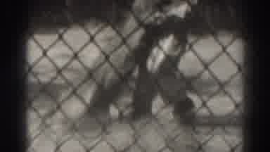 El Monte California (1937): Sedated Lion Is Moved Within The Enclosure By A Single