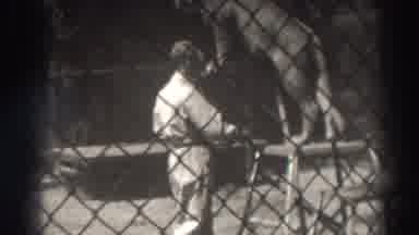 El Monte California (1937): People Training Big Cats In The Cages Before A Show