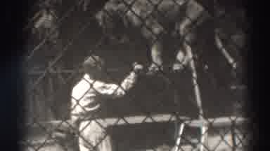 El Monte California (1937): A Circus Trainer Takes Care Of A Lion Walking On The