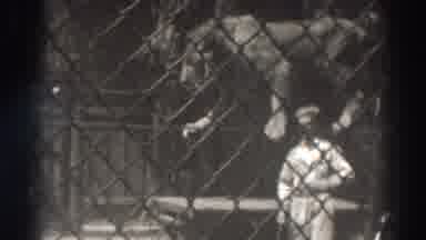 El Monte California (1937): Old Video Of Lion Being Trained To Walk On A Pole
