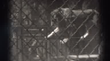El Monte California (1937): Trainer Walks Alongside Lion As Lion Walks On A Rope