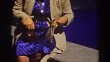 Lake Tahoe California (1937): Woman In A Blue Dress Feeding An Animal Sitting On