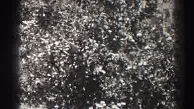Long Beach California (1937): Two Women Near A Fruit Tree Collecting Fruit Vintage