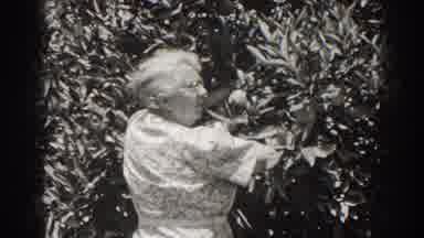 Long Beach California (1937): Older Women Inspecting Tree