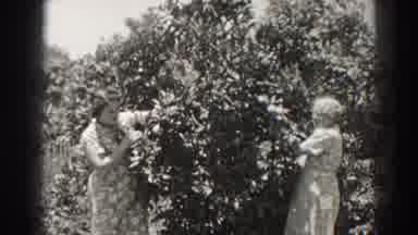 Long Beach California (1937): The Family That Works Together To Make Life Happier