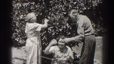 Long Beach California (1937): A Couple Of Elder People Reaping Some Fruits And
