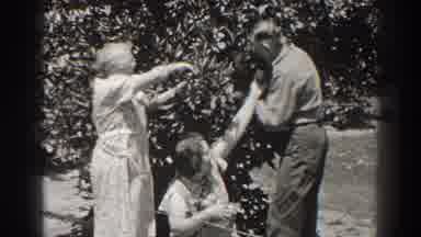 Long Beach California (1937): Three Old Men Working Smiling Happily Pruning The