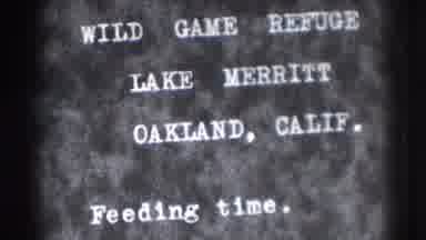 Oakland California (1937): Sign Reads Wild Game Refuge Lake Merritt Oakland