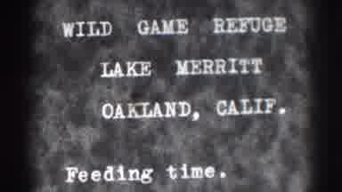 Oakland California (1937): View Of White Letter Wild Game Refuge Lake Merritt Film