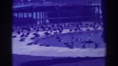 Oakland California (1937): Ducks Swim In A Pool With A Large Beach And A Water