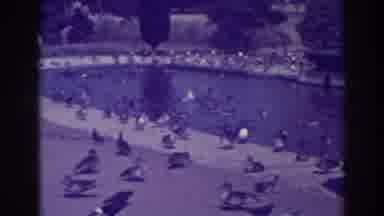 Oakland California (1937): Ducks Free Roaming Around A Pond In The Park