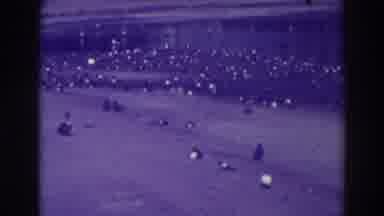 Oakland California (1937): Person And Flock Of Ducks Sitting Near Edge Of Lake