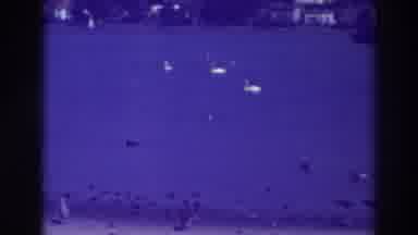 Oakland California (1937): Swans And Ducks Swim On Blue Lake While Pigeons Walk On