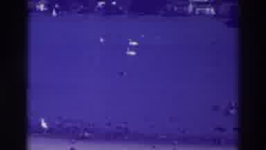 Oakland California (1937): The Wonderful Blue Ocean With Swimming Many Swan On The