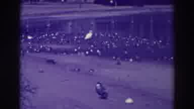 Oakland California (1937): Many Ducks Are In The Water And On Sand With An Egret