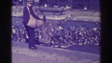 Oakland California (1937): Mr John Doe Feeding The Thousands Of Ducks That Are