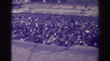 Oakland California (1937): Large Flock Of Ducks Gather At Lake Merritt On A Sunny