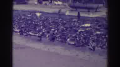 Oakland California (1937): View Of Trained Lions Film Sign And Large Flock Of