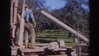 Sacramento California (1937): Lumberjack Bringing Down Lumber To Be Packaged And