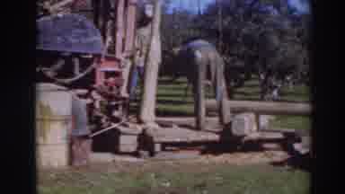 Sacramento California (1937): Man Wearing Blue Shirt Lifts Tan Object From Ground