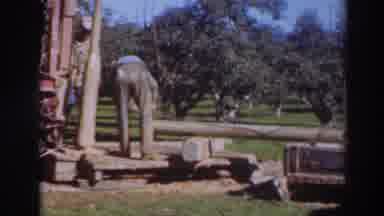 Sacramento California (1937): Images Of A Farm And In The Background There Is A