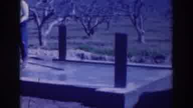 Sacramento California (1937): Getting Ready For People To Come Visit The Cider